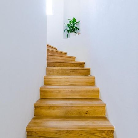 Villa Roma Dubrovnik Eksteriør bilde